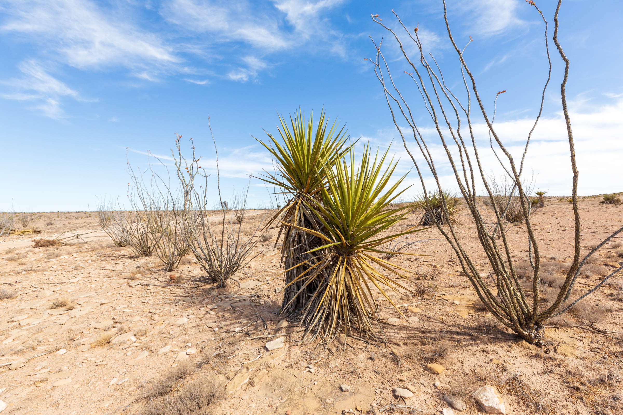 Tract 117 at Sunrise Ranches Phase III in Hudspeth County, Texas