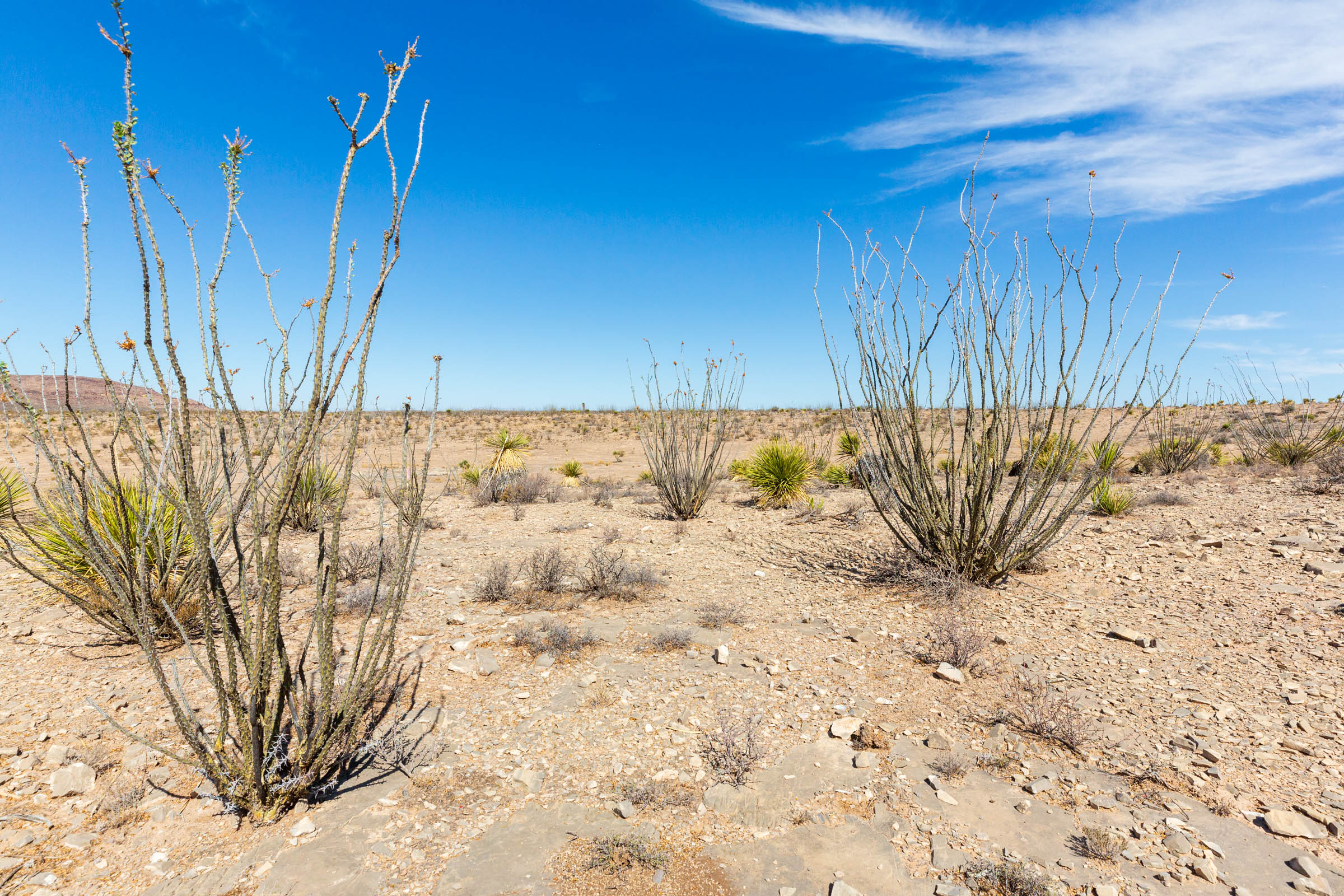 Tract 129 at Sunrise Ranches Phase III in Hudspeth County, Texas