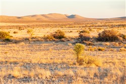property photo for Sunrise Ranches Phase III Tract 137, 79.8 acres for sale in Hudspeth County, Texas