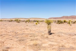 property photo for Sunrise Ranches Phase III Tract 137, 79.8 acres for sale in Hudspeth County, Texas