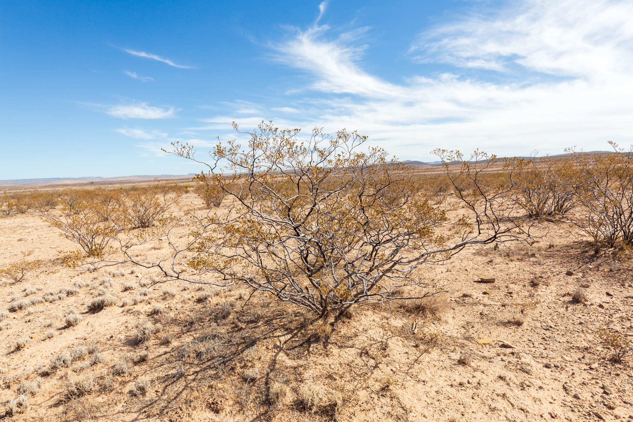 Tract 141 at Sunrise Ranches Phase III in Hudspeth County, Texas
