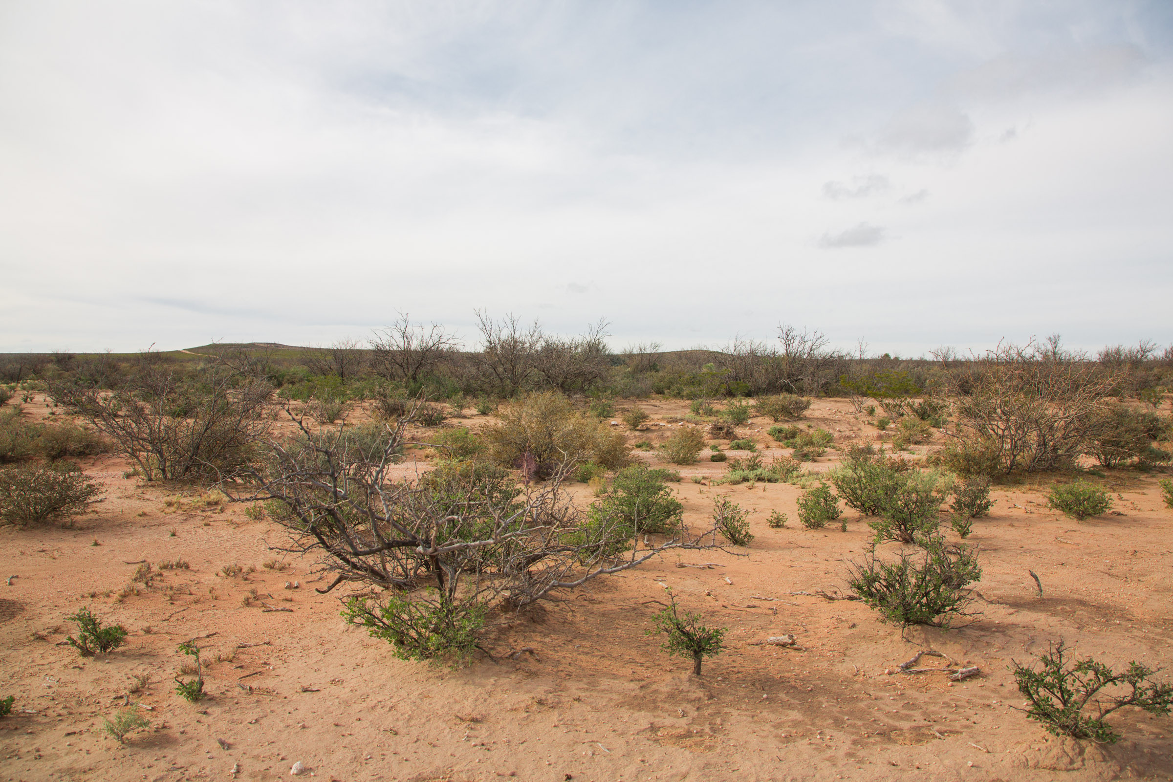 Tract 24 at Sunset Ranches in Hudspeth County, Texas