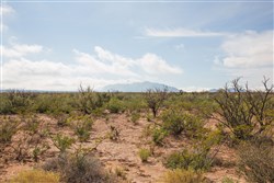 property photo for Sunset Ranches Plat 645 Tract 10, 20 acres for sale in Hudspeth County, Texas