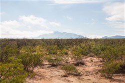 property photo for Sunset Ranches Plat 645 Tract 10, 20 acres for sale in Hudspeth County, Texas