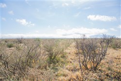 property photo for Sunset Ranches Plat 645 Tract 11, 20 acres for sale in Hudspeth County, Texas