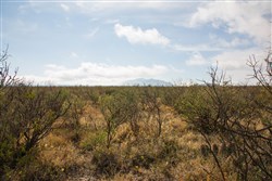 property photo for Sunset Ranches Plat 645 Tract 11, 20 acres for sale in Hudspeth County, Texas