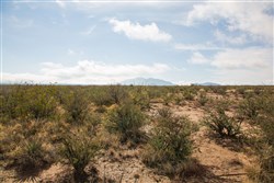 property photo for Sunset Ranches Plat 645 Tract 11, 20 acres for sale in Hudspeth County, Texas