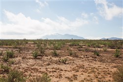 property photo for Sunset Ranches Plat 645 Tract 12, 20 acres for sale in Hudspeth County, Texas