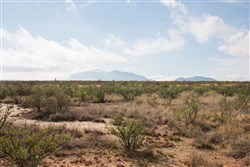 property photo for Sunset Ranches Plat 645 Tract 12, 20 acres for sale in Hudspeth County, Texas