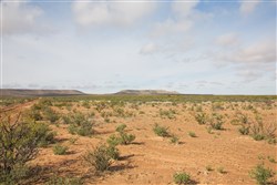 property photo for Sunset Ranches Plat 645 Tract 12, 20 acres for sale in Hudspeth County, Texas