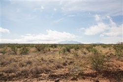 property photo for Sunset Ranches Plat 645 Tract 12, 20 acres for sale in Hudspeth County, Texas