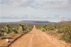 property photo for Sunset Ranches Plat 645 Tract 13, 20 acres for sale in Hudspeth County, Texas