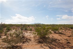 property photo for Sunset Ranches Plat 645 Tract 13, 20 acres for sale in Hudspeth County, Texas