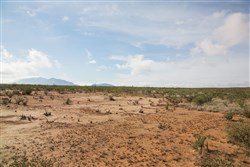property photo for Sunset Ranches Plat 645 Tract 13, 20 acres for sale in Hudspeth County, Texas
