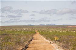 property photo for Sunset Ranches Plat 645 Tract 17, 20 acres for sale in Hudspeth County, Texas