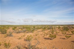 property photo for Sunset Ranches Plat 645 Tract 17, 20 acres for sale in Hudspeth County, Texas