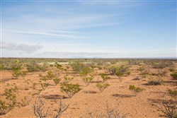 property photo for Sunset Ranches Plat 645 Tract 17, 20 acres for sale in Hudspeth County, Texas