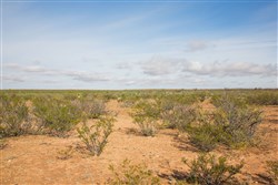 property photo for Sunset Ranches Plat 645 Tract 17, 20 acres for sale in Hudspeth County, Texas