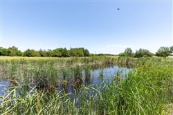 property photo for Wildflower Reserve Tract 2, 1.9 acres for sale in Hunt County, Texas