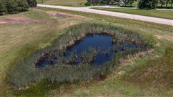 property photo for Wildflower Reserve Tract 2, 1.9 acres for sale in Hunt County, Texas