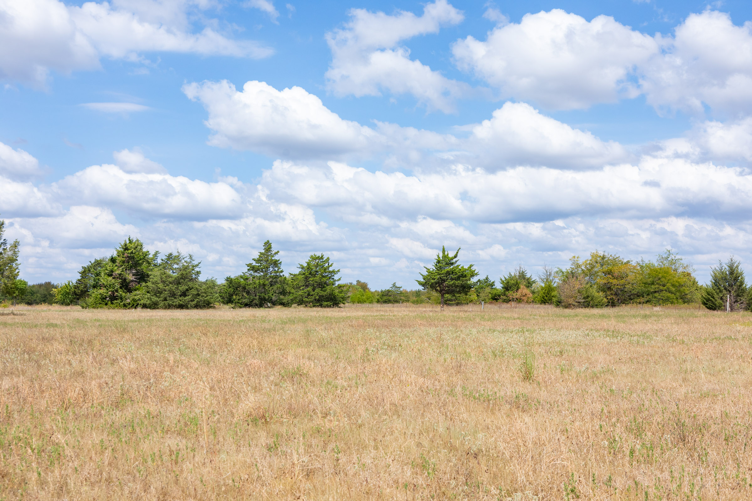 Tract 4 at Wildflower Reserve in Hunt County, Texas