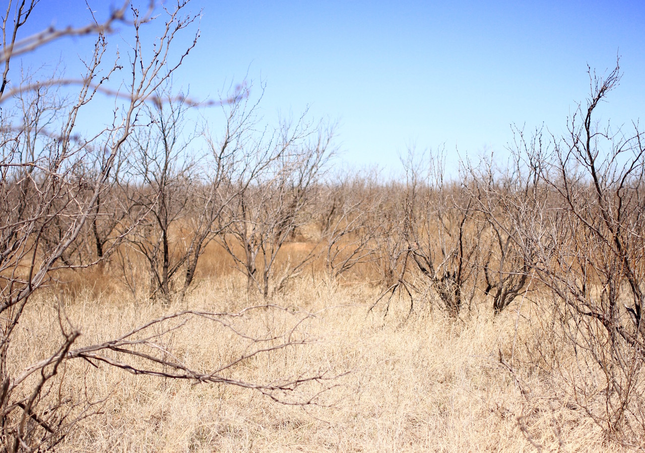 Tract 1 at Red Rock Ranch in Knox County, Texas