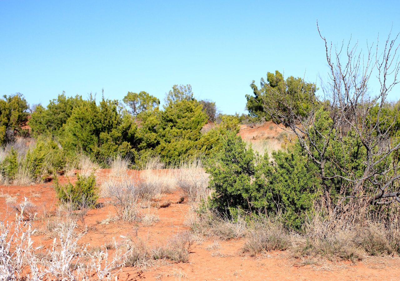Tract 23 at Red Rock Ranch in Knox County, Texas