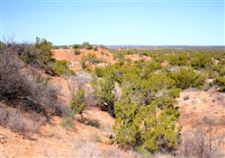 property photo for Red Rock Ranch Tract 5, 19.26 acres for sale in Knox County, Texas