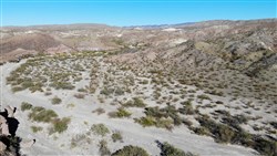 property photo for Vista Linda Canyon Tract 1, 22.05 acres for sale in Presidio County, Texas