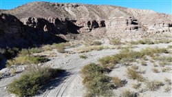 property photo for Vista Linda Canyon Tract 17, 22.05 acres for sale in Presidio County, Texas