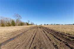 property photo for Wishing Star Ranch Tract 10, 4.99 acres for sale in Red River County, Texas