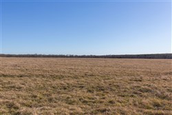 property photo for Wishing Star Ranch Tract 10, 4.99 acres for sale in Red River County, Texas