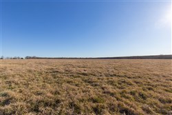 property photo for Wishing Star Ranch Tract 10, 4.99 acres for sale in Red River County, Texas