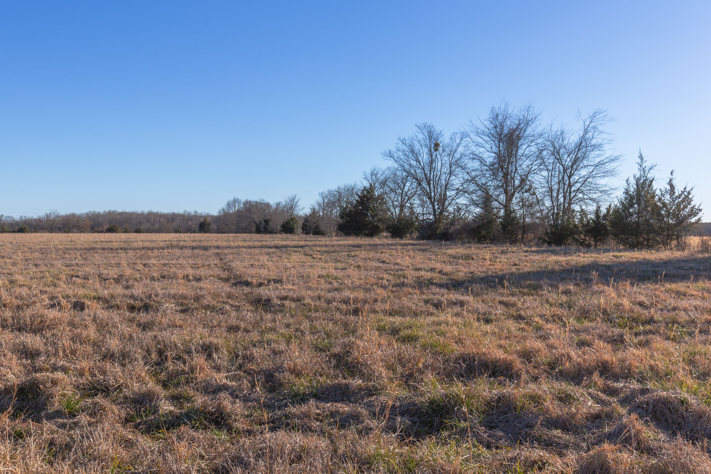 Tract 12 at Wishing Star Ranch in Red River County, Texas