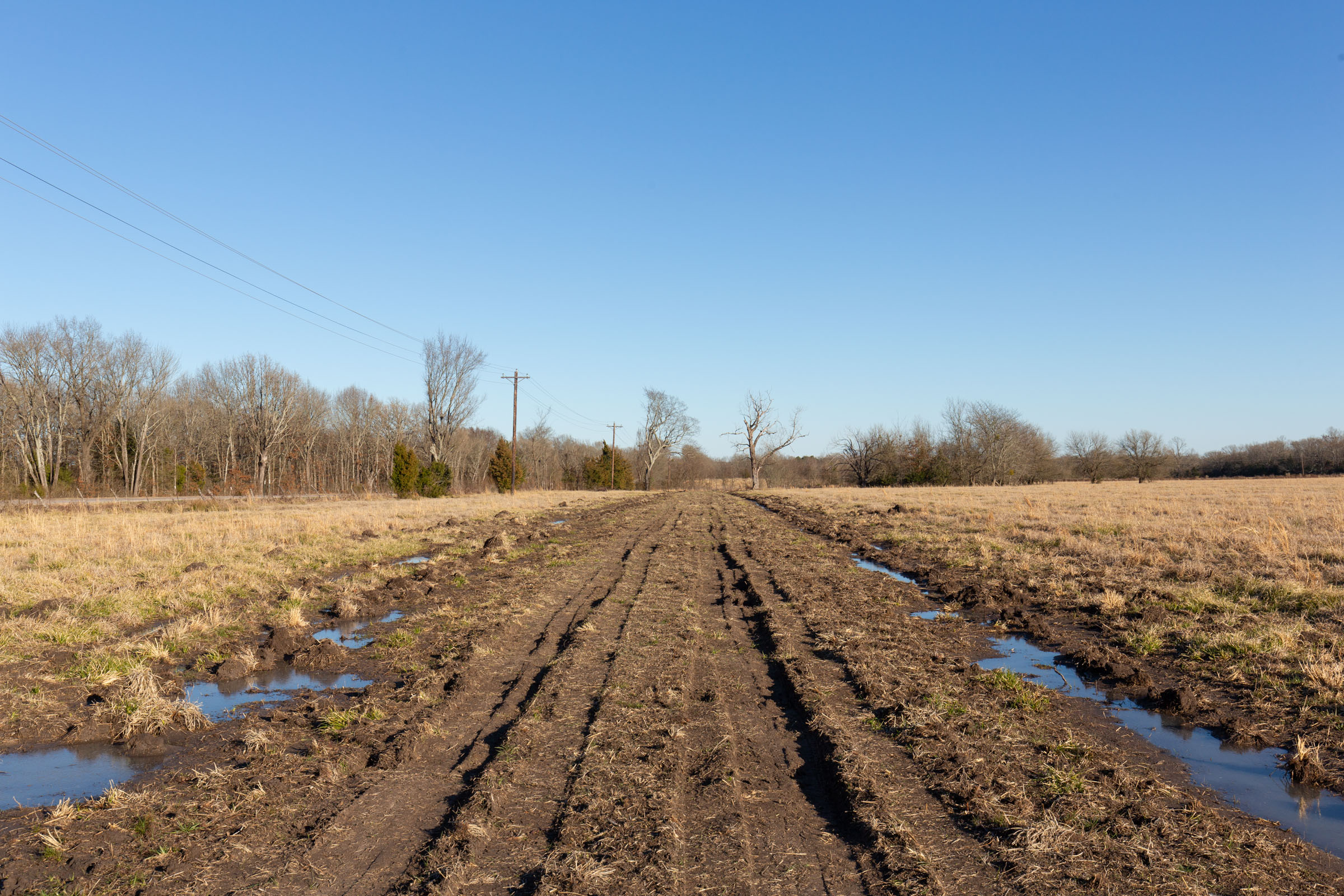 Tract 13 at Wishing Star Ranch in Red River County, Texas