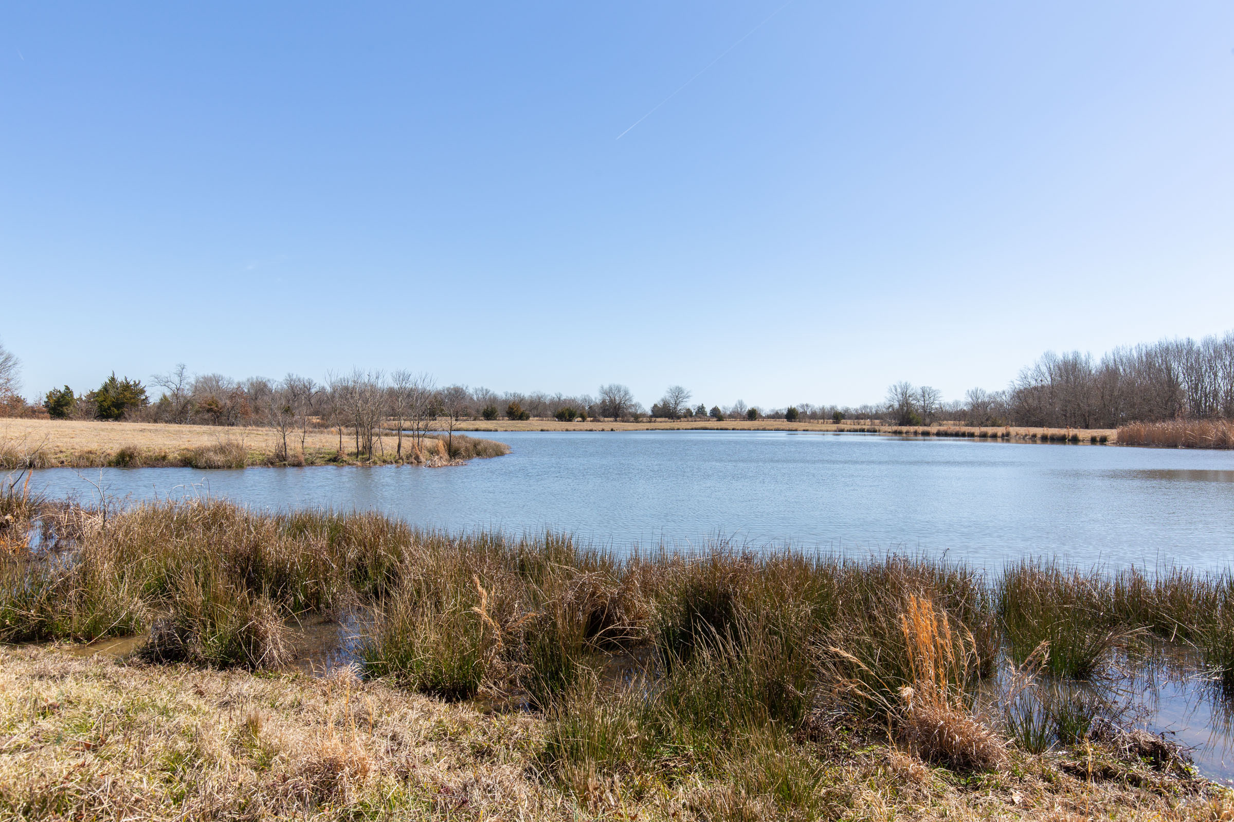 Tract 27 at Wishing Star Ranch in Red River County, Texas