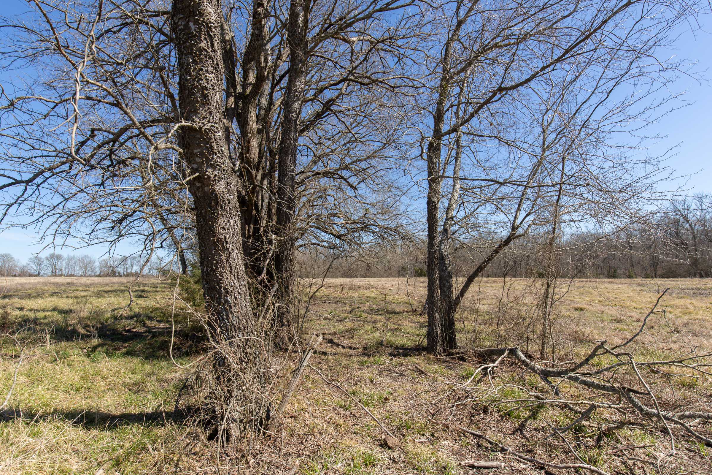 Tract 29 at Wishing Star Ranch in Red River County, Texas