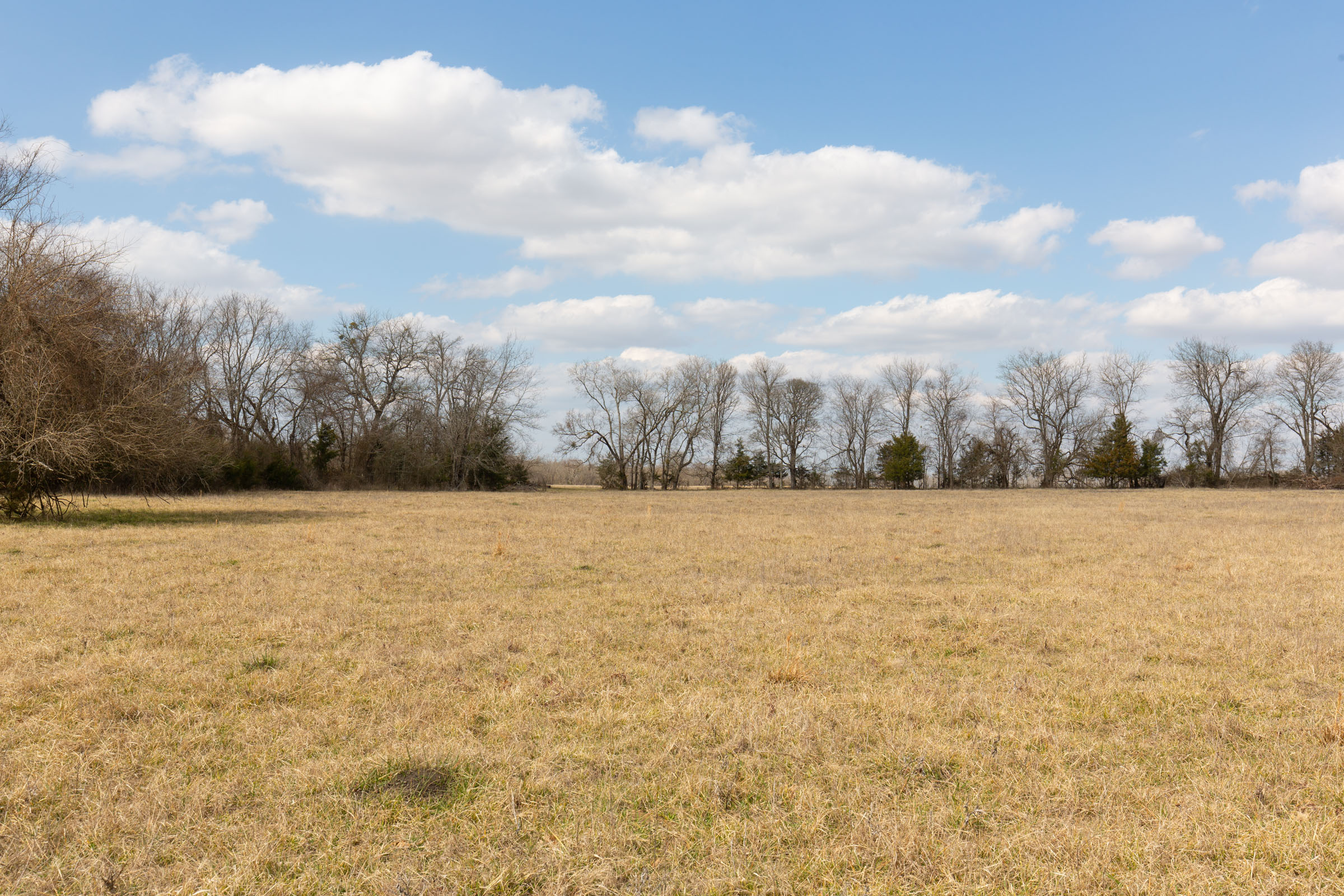 Tract 32 at Wishing Star Ranch in Red River County, Texas