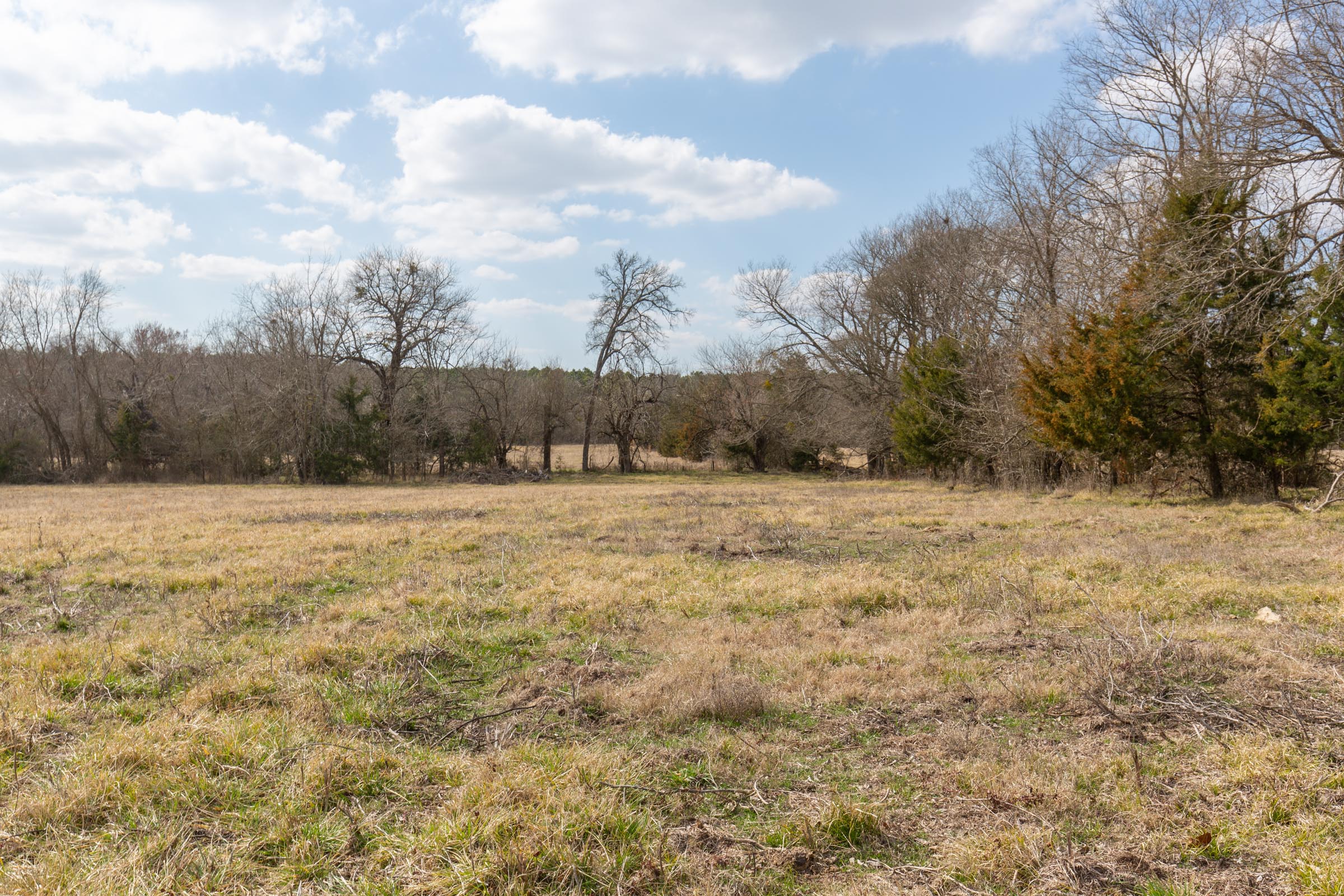 Tract 33 at Wishing Star Ranch in Red River County, Texas