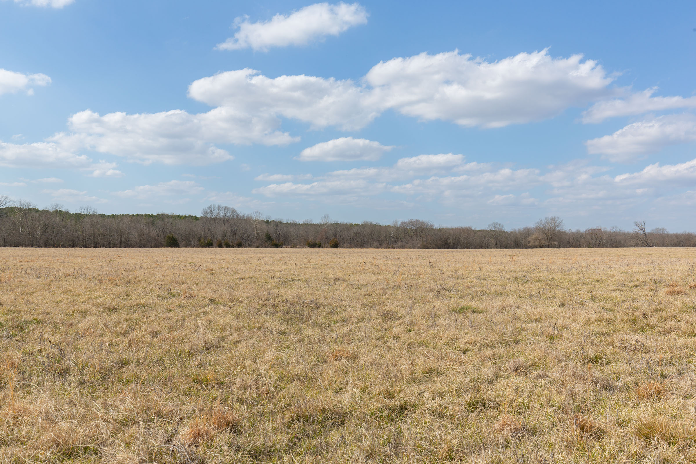 Tract 34 at Wishing Star Ranch in Red River County, Texas