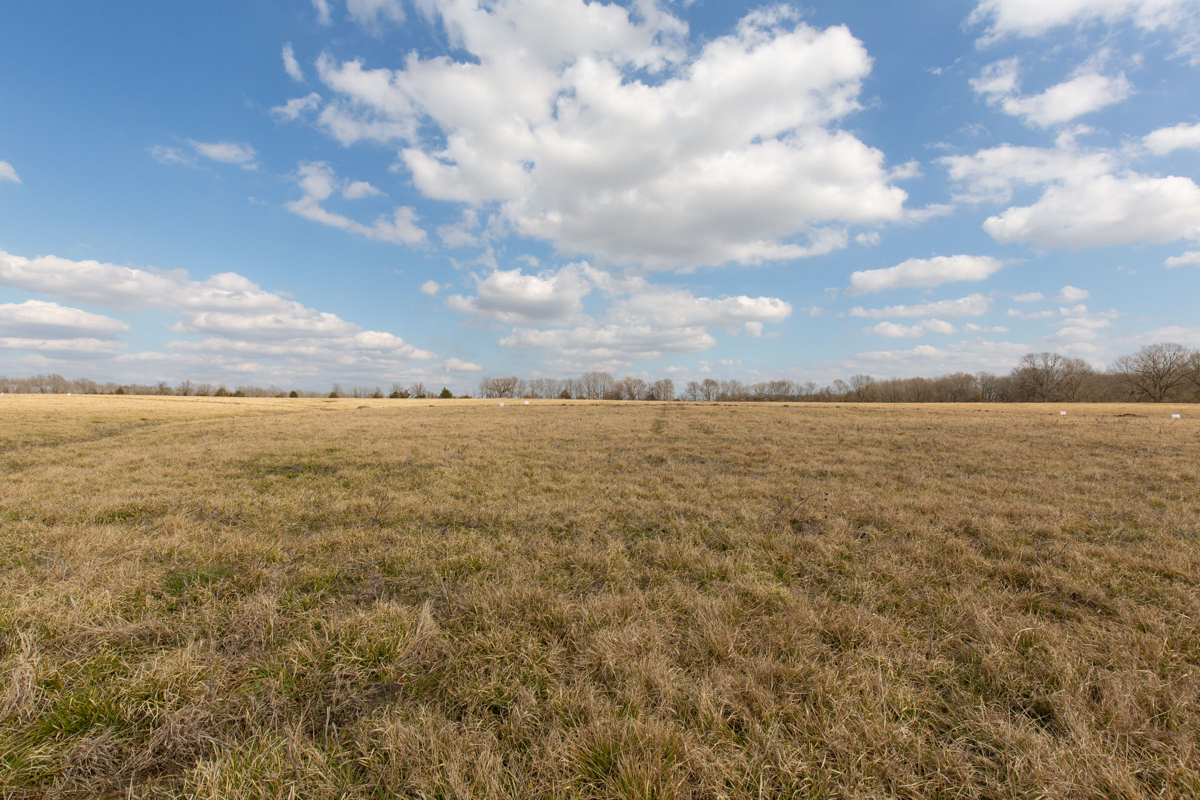 Tract 35 at Wishing Star Ranch in Red River County, Texas