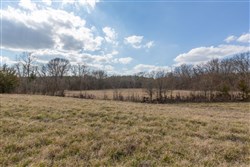 property photo for Wishing Star Ranch Tract 37, 7.17 acres for sale in Red River County, Texas
