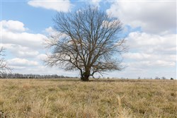 property photo for Wishing Star Ranch Tract 37, 7.17 acres for sale in Red River County, Texas