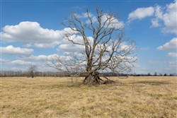 property photo for Wishing Star Ranch Tract 37, 7.17 acres for sale in Red River County, Texas