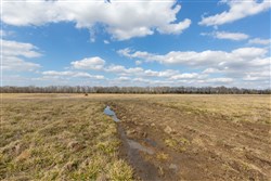 property photo for Wishing Star Ranch Tract 39, 5.04 acres for sale in Red River County, Texas