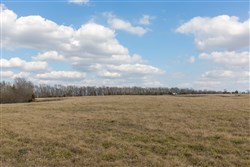 property photo for Wishing Star Ranch Tract 39, 5.04 acres for sale in Red River County, Texas