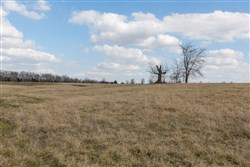 property photo for Wishing Star Ranch Tract 39, 5.04 acres for sale in Red River County, Texas