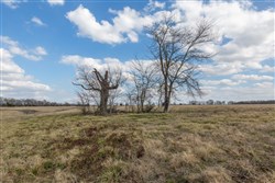 property photo for Wishing Star Ranch Tract 39, 5.04 acres for sale in Red River County, Texas