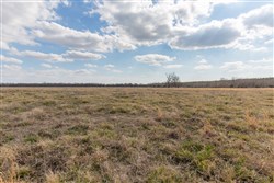 property photo for Wishing Star Ranch Tract 39, 5.04 acres for sale in Red River County, Texas