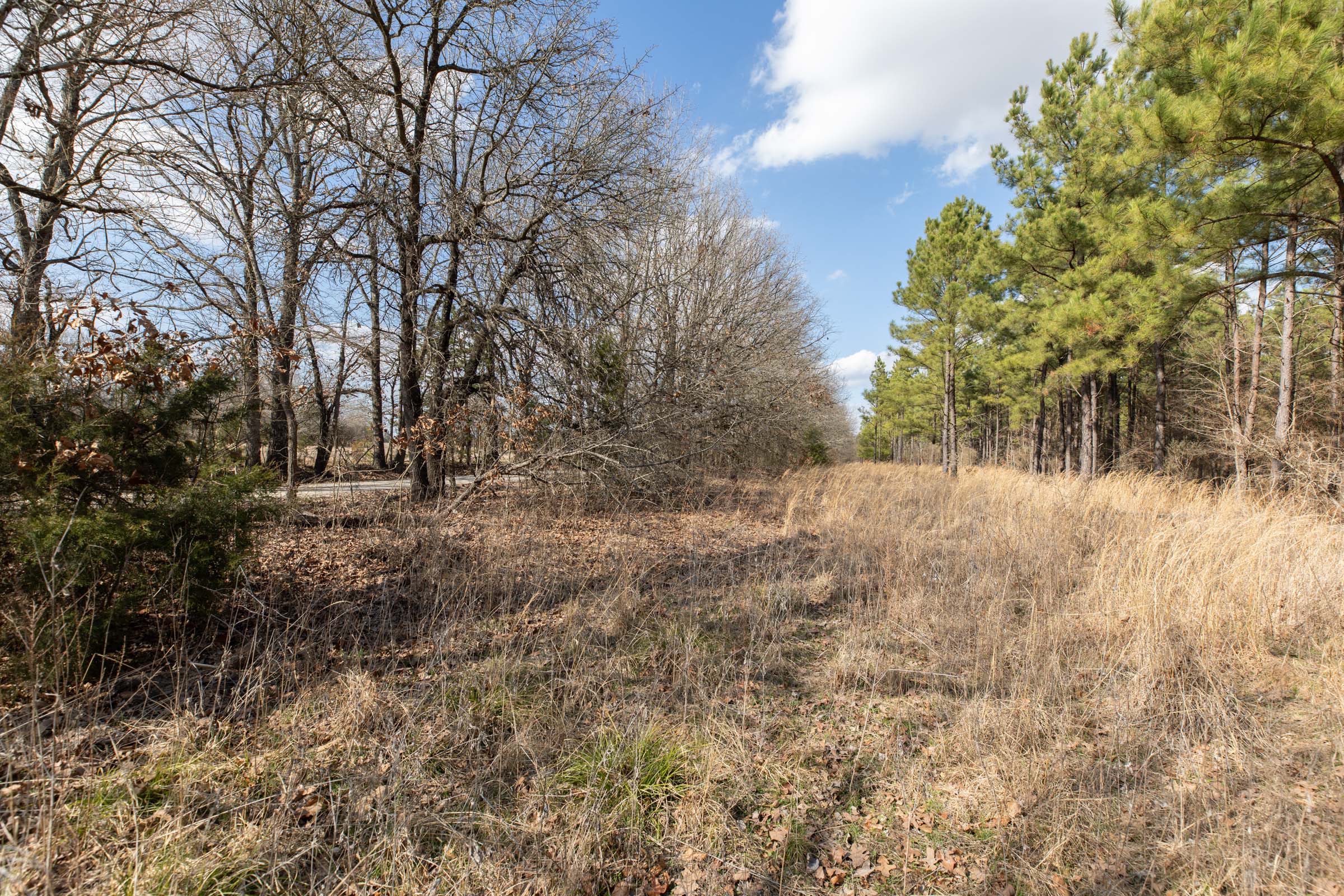 Tract 46 at Wishing Star Ranch in Red River County, Texas